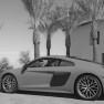 Audi R8s at The Thermal Club